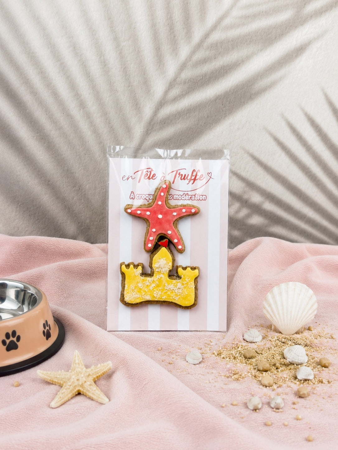 Biscuits Glacés Pour Chien - Étoile de mer & château de sable